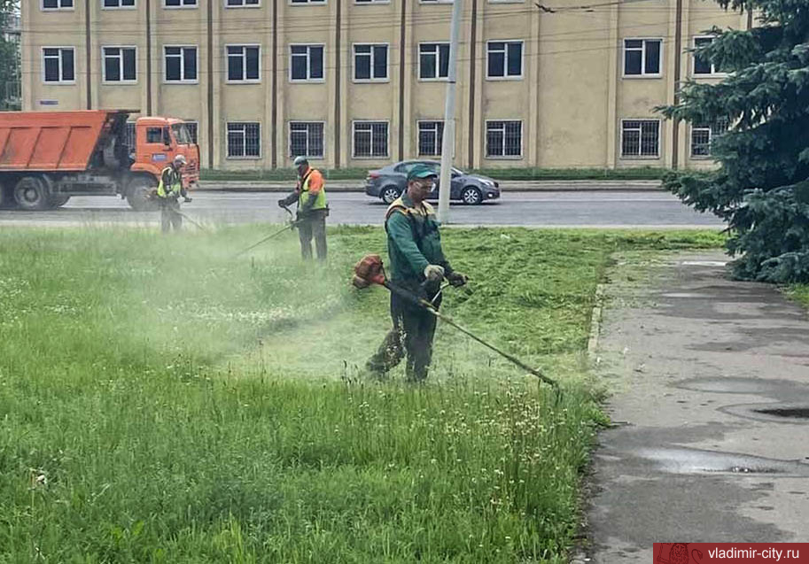 Покос травы на общественных пространствах Владимира идет ежедневно