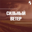 Синоптики прогнозируют во Владимире сильные порывы ветра
