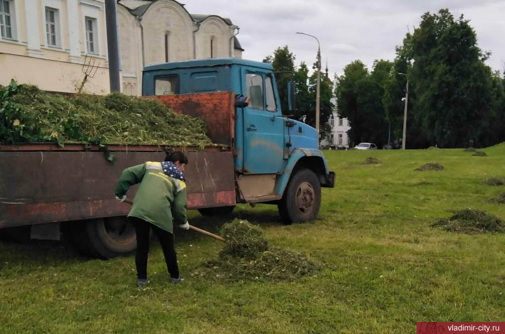 Во Владимире ежедневно и без выходных идет покос травы