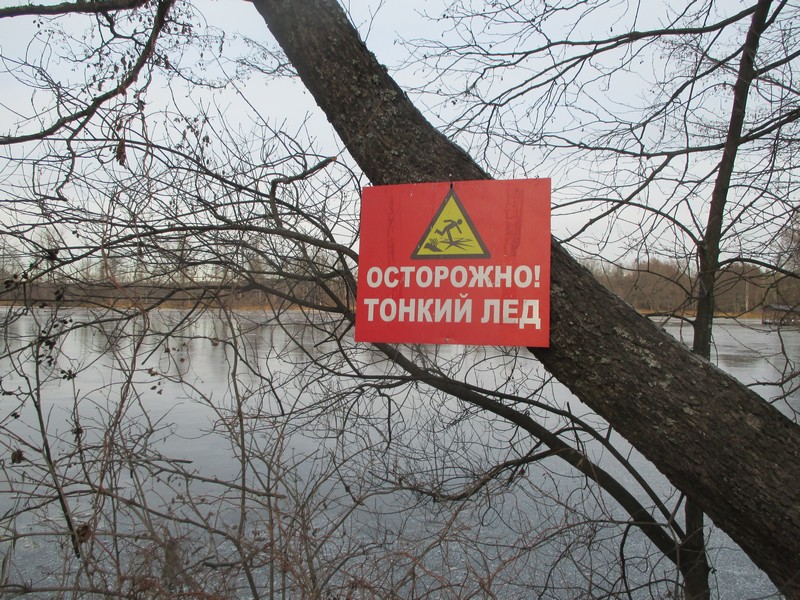 Андрей Шохин распорядился усилить меры безопасности на водных объектах