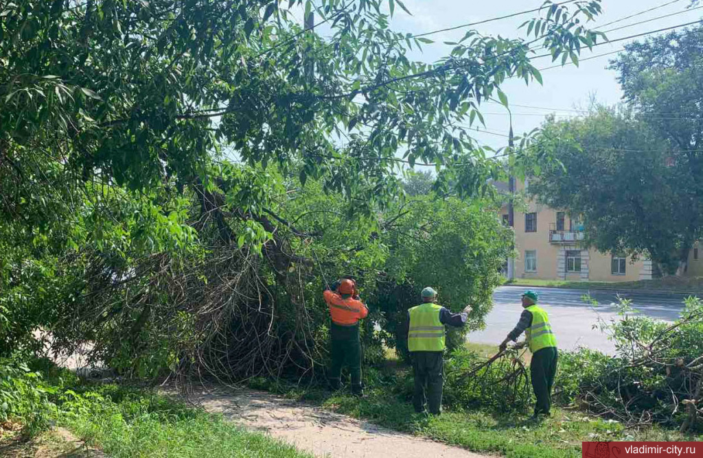 Ликвидация сухих и аварийных деревьев проводится для обеспечения безопасности граждан
