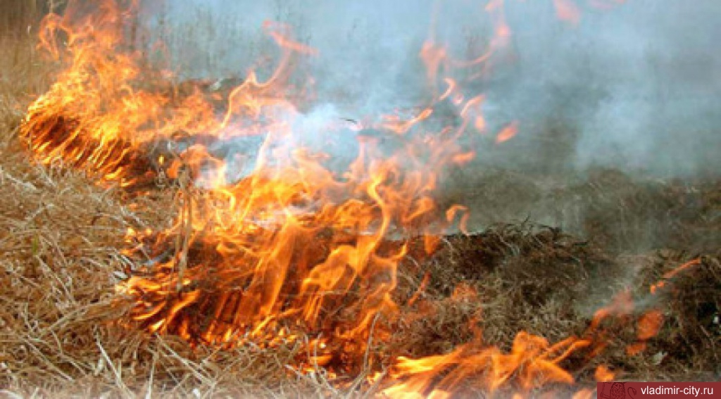 Предупредить пожары из-за пала сухой травы